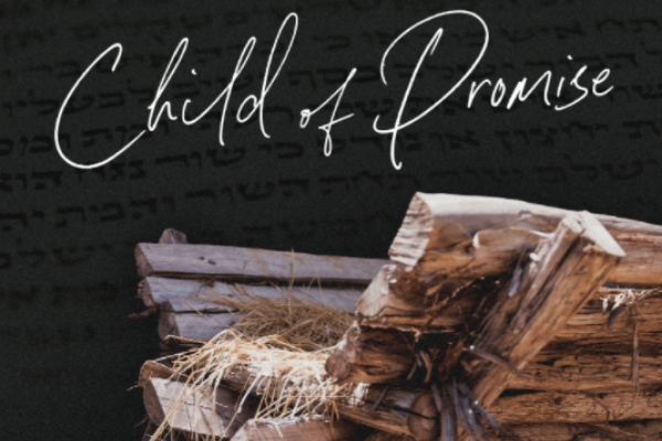 child of promise devotional